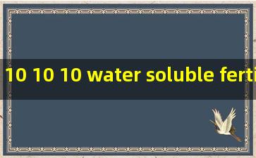10 10 10 water soluble fertilizer supplier